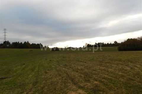 Farm i Fundao, Castelo Branco, Fundao - € 300.000 | Ref: 255200070 - foto 38
