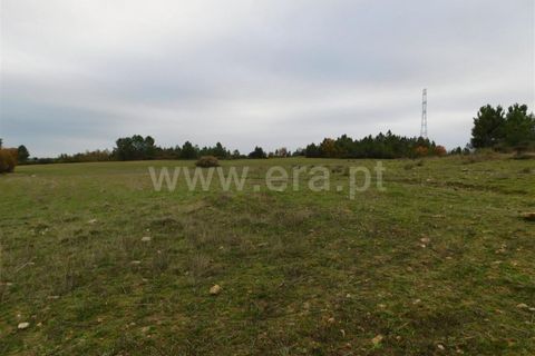 Farm i Fundao, Castelo Branco, Fundao - € 300.000 | Ref: 255200070 - foto 41