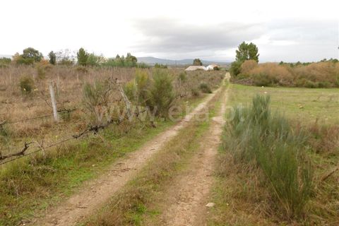 Farm i Fundao, Castelo Branco, Fundao - € 300.000 | Ref: 255200070 - foto 43