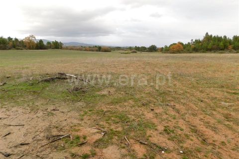 Farm i Fundao, Castelo Branco, Fundao - € 300.000 | Ref: 255200070 - foto 44
