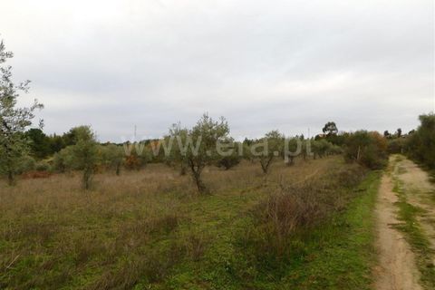 Farm i Fundao, Castelo Branco, Fundao - € 300.000 | Ref: 255200070 - foto 47