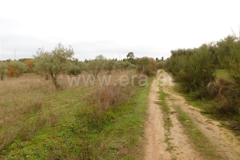 Farm i Fundao, Castelo Branco, Fundao - € 300.000 | Ref: 255200070 - foto 48