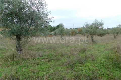Farm i Fundao, Castelo Branco, Fundao - € 300.000 | Ref: 255200070 - foto 49