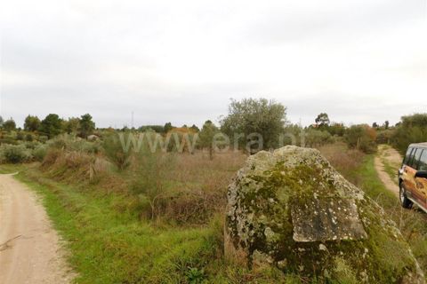 Farm i Fundao, Castelo Branco, Fundao - € 300.000 | Ref: 255200070 - foto 50