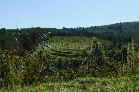 Erhvervsejendom i Fundao, Castelo Branco, Fundao - € 83.000 | Ref: 255200105 - foto 1