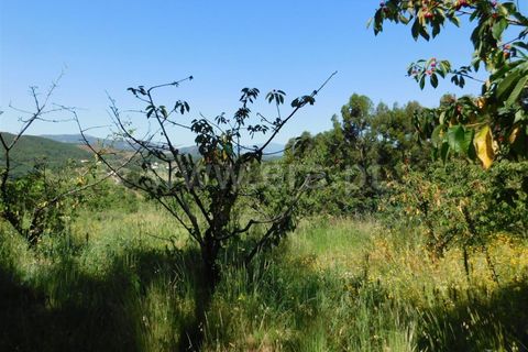 Erhvervsejendom i Fundao, Castelo Branco, Fundao - € 83.000 | Ref: 255200105 - foto 2
