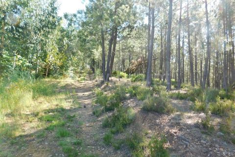 Erhvervsejendom i Fundao, Castelo Branco, Fundao - € 83.000 | Ref: 255200105 - foto 3