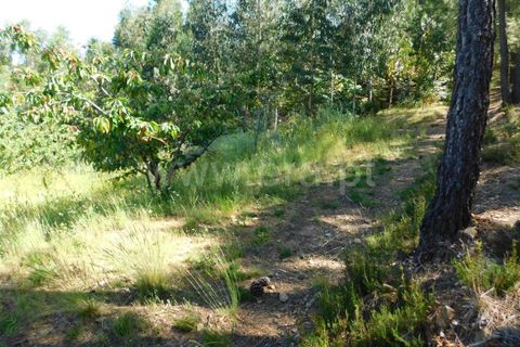Erhvervsejendom i Fundao, Castelo Branco, Fundao - € 83.000 | Ref: 255200105 - foto 8