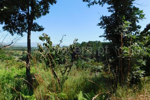 Erhvervsejendom i Fundao, Castelo Branco, Fundao - € 83.000 | Ref: 255200105 - foto 9