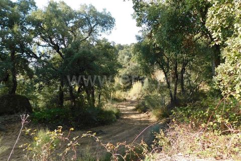Helårsgrund i Fundao, Castelo Branco, Fundao - € 17.500 | Ref: 255210175 - foto 2