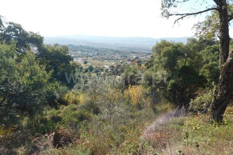 Helårsgrund i Fundao, Castelo Branco, Fundao - € 17.500 | Ref: 255210175 - foto 3