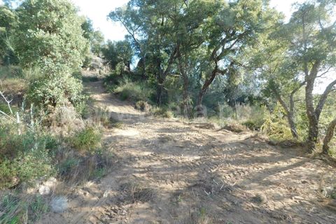 Helårsgrund i Fundao, Castelo Branco, Fundao - € 17.500 | Ref: 255210175 - foto 4