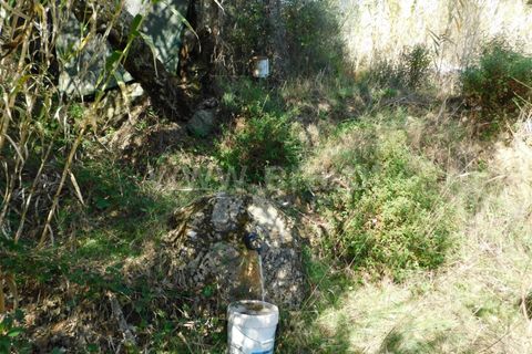 Helårsgrund i Fundao, Castelo Branco, Fundao - € 17.500 | Ref: 255210175 - foto 5