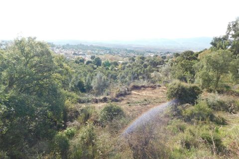 Helårsgrund i Fundao, Castelo Branco, Fundao - € 17.500 | Ref: 255210175 - foto 6