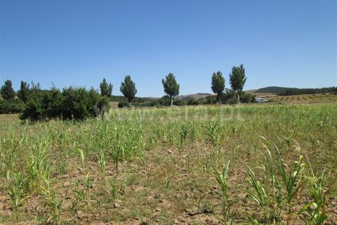 Gård i Fundao, Castelo Branco, Fundao - € 22 000 | Ref: 255150180 - foto 2