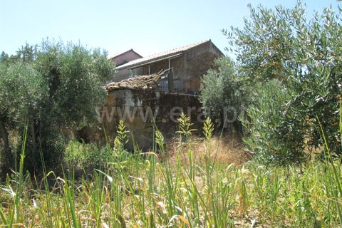 Gård i Fundao, Castelo Branco, Fundao - € 22 000 | Ref: 255150180 - foto 5