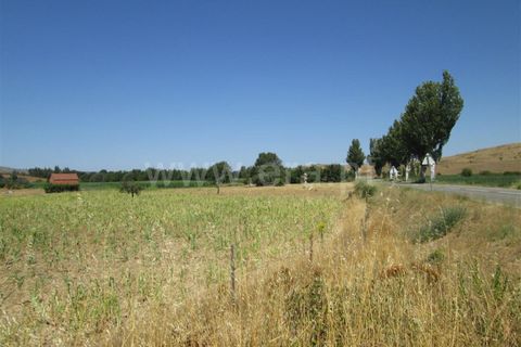 Gård i Fundao, Castelo Branco, Fundao - € 22 000 | Ref: 255150180 - foto 7