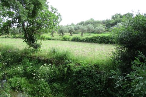 Erhvervsejendom i Fundao, Castelo Branco, Fundao - € 75.000 | Ref: 255160135 - foto 3