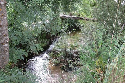 Erhvervsejendom i Fundao, Castelo Branco, Fundao - € 75.000 | Ref: 255160135 - foto 4