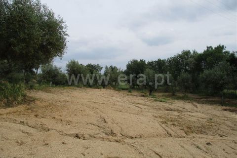 Erhvervsejendom i Fundao, Castelo Branco, Fundao - € 75.000 | Ref: 255160135 - foto 5