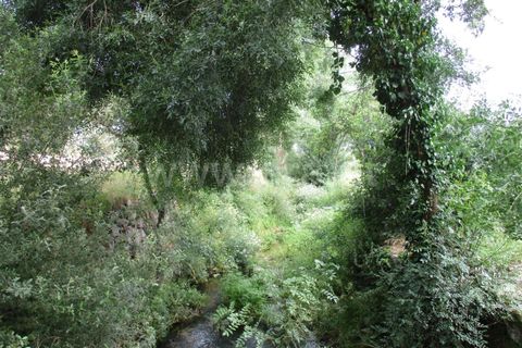 Erhvervsejendom i Fundao, Castelo Branco, Fundao - € 75.000 | Ref: 255160135 - foto 6