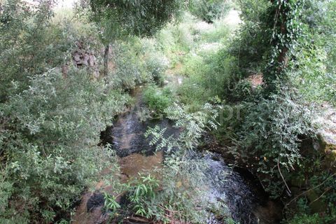 Erhvervsejendom i Fundao, Castelo Branco, Fundao - € 75.000 | Ref: 255160135 - foto 7
