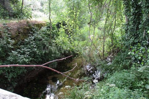 Erhvervsejendom i Fundao, Castelo Branco, Fundao - € 75.000 | Ref: 255160135 - foto 8