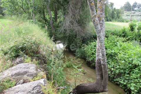 Erhvervsejendom i Fundao, Castelo Branco, Fundao - € 75.000 | Ref: 255160135 - foto 9