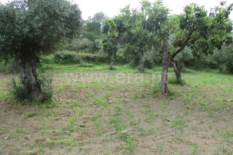 Erhvervsejendom i Fundao, Castelo Branco, Fundao - € 75.000 | Ref: 255160135 - foto 10