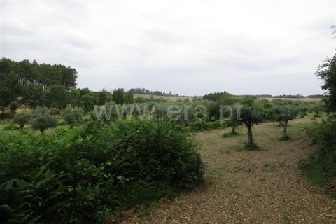 Erhvervsejendom i Fundao, Castelo Branco, Fundao - € 75.000 | Ref: 255160135 - foto 11