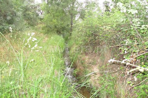 Erhvervsejendom i Fundao, Castelo Branco, Fundao - € 75.000 | Ref: 255160135 - foto 12