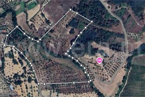Erhvervsejendom i Fundao, Castelo Branco, Fundao - € 75.000 | Ref: 255160135 - foto 13