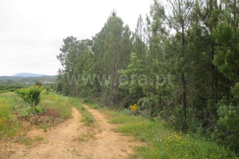 Helårsgrund i Fundao, Castelo Branco, Fundao - € 15.000 | Ref: 255160144 - foto 2