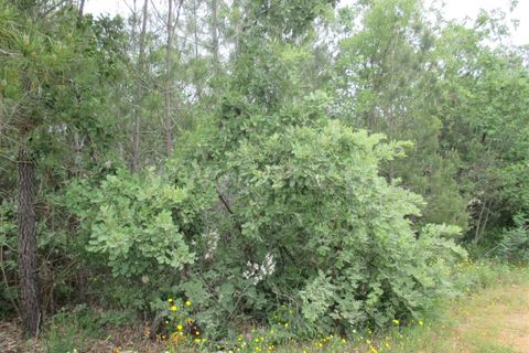 Helårsgrund i Fundao, Castelo Branco, Fundao - € 15.000 | Ref: 255160144 - foto 3