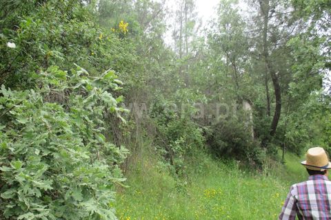 Helårsgrund i Fundao, Castelo Branco, Fundao - € 15.000 | Ref: 255160144 - foto 4