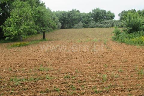 Helårsgrund i Fundao, Castelo Branco, Fundao - € 15.000 | Ref: 255160144 - foto 5