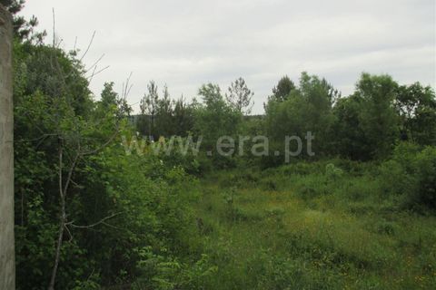 Helårsgrund i Fundao, Castelo Branco, Fundao - € 15.000 | Ref: 255160144 - foto 6