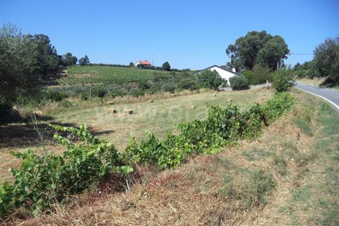 Farm i Fundao, Castelo Branco, Fundao - € 86.500 | Ref: 255160192 - foto 2