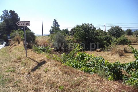 Farm i Fundao, Castelo Branco, Fundao - € 86.500 | Ref: 255160192 - foto 3