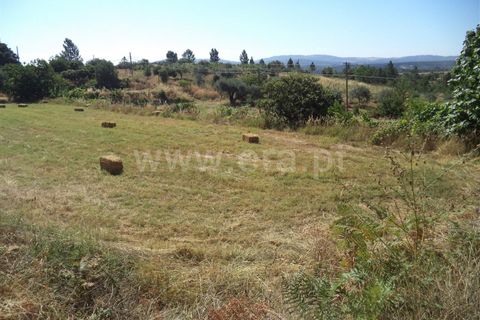 Farm i Fundao, Castelo Branco, Fundao - € 86.500 | Ref: 255160192 - foto 4