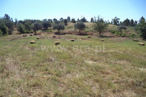 Farm i Fundao, Castelo Branco, Fundao - € 86.500 | Ref: 255160192 - foto 5