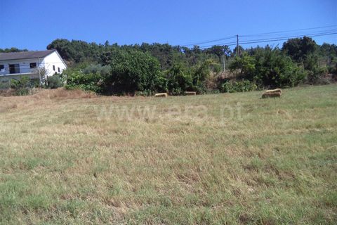 Farm i Fundao, Castelo Branco, Fundao - € 86.500 | Ref: 255160192 - foto 6