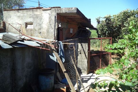 Farm i Fundao, Castelo Branco, Fundao - € 86.500 | Ref: 255160192 - foto 7