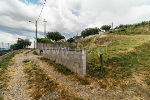 Helårsgrund i Fundao, Castelo Branco, Fundao - € 19.000 | Ref: 255220009 - foto 5