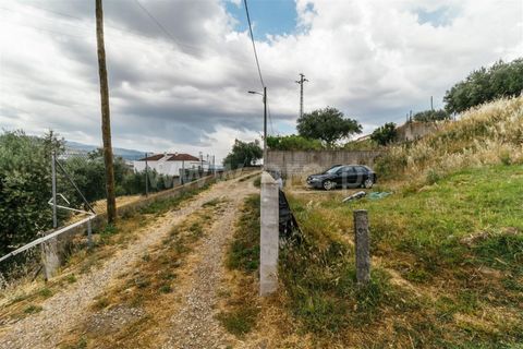 Helårsgrund i Fundao, Castelo Branco, Fundao - € 19.000 | Ref: 255220009 - foto 14