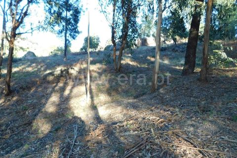 Tomt i Fundao, Castelo Branco, Fundao - € 50 000 | Ref: 255220013 - foto 2