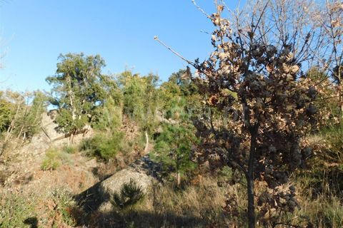 Tomt i Fundao, Castelo Branco, Fundao - € 50 000 | Ref: 255220013 - foto 3