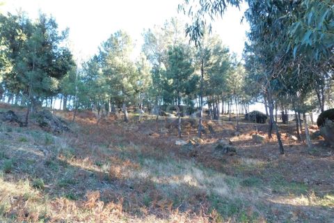 Tomt i Fundao, Castelo Branco, Fundao - € 50 000 | Ref: 255220013 - foto 4
