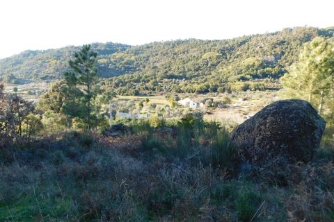 Tomt i Fundao, Castelo Branco, Fundao - € 50 000 | Ref: 255220013 - foto 5