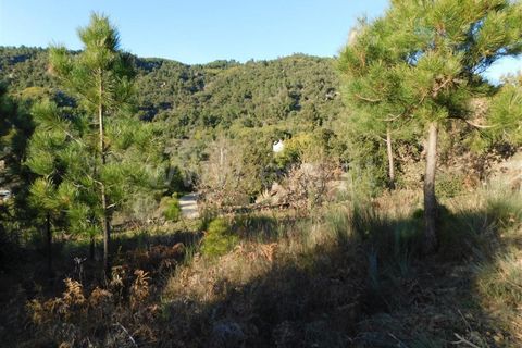 Tomt i Fundao, Castelo Branco, Fundao - € 50 000 | Ref: 255220013 - foto 6